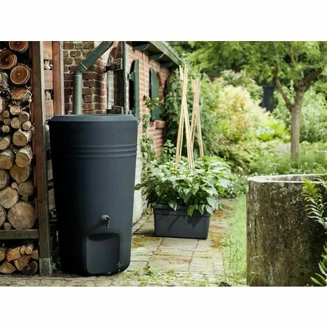 Récupérateur D'eau De Pluie Rain Barrel - Elho - Anthracite 4 Récupérateur D'eau De Pluie Rain Barrel - Elho - Anthracite – Image 2