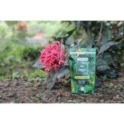 BERGER-WORLD Little Jungle 40g Réservoir D'Eau Solide Pour Plantes D'intérieur - LAUREAT PRIX JDC 2022 -Promos Récupération Magasin 54890987 5