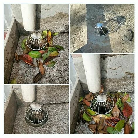 Ensoleillé Iltres Pour Gouttière, Fuite GouttièRe Garde Filtre, La Protection Des Ballons En Fil De Fer Pour Tuyau De Gouttière Arrête Le Blocage Des Feuilles De Boue De Mousse.Gu.B/bon 6 Ensoleillé Iltres Pour Gouttière, Fuite GouttièRe Garde Filtre, La Protection Des Ballons En Fil De Fer Pour Tuyau De Gouttière Arrête Le Blocage Des Feuilles De Boue De Mousse.Gu.B/bon – Image 5