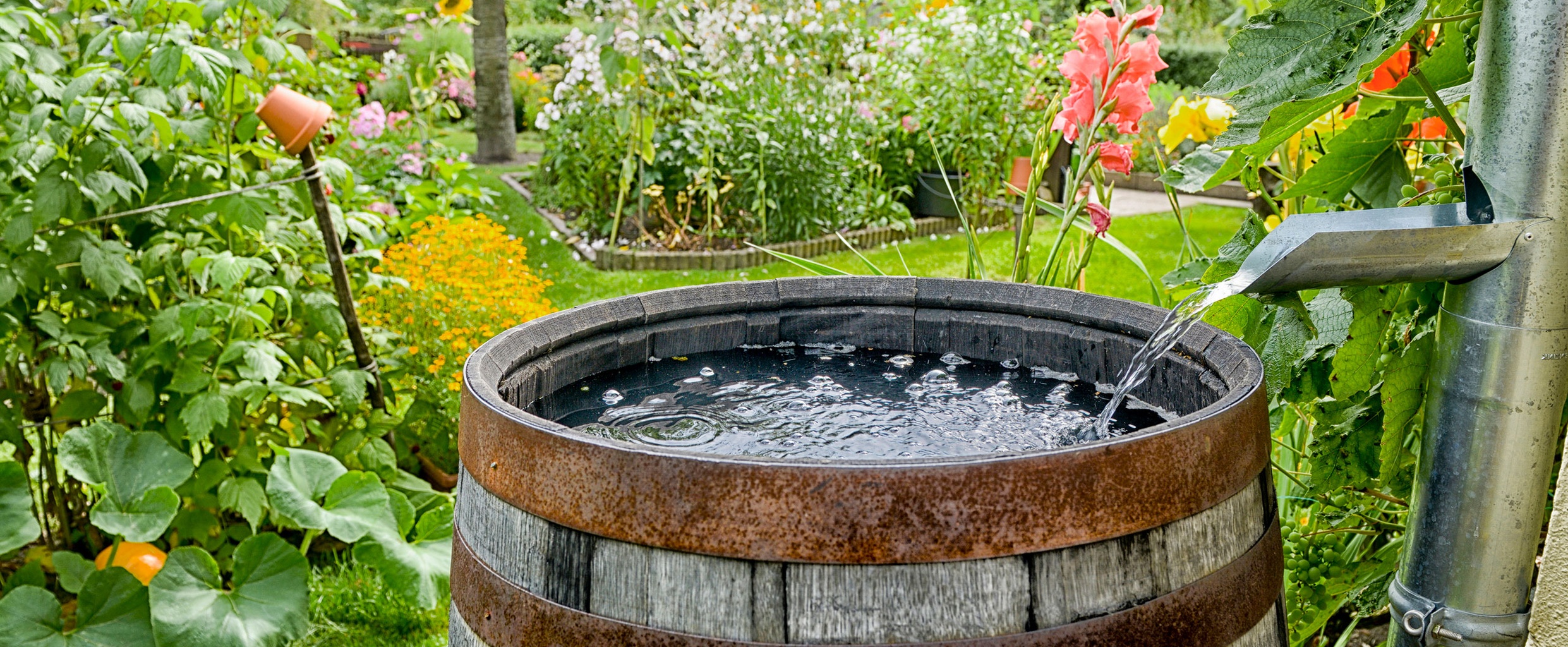 Promos Récupération Magasin -Promos Récupération Magasin r1